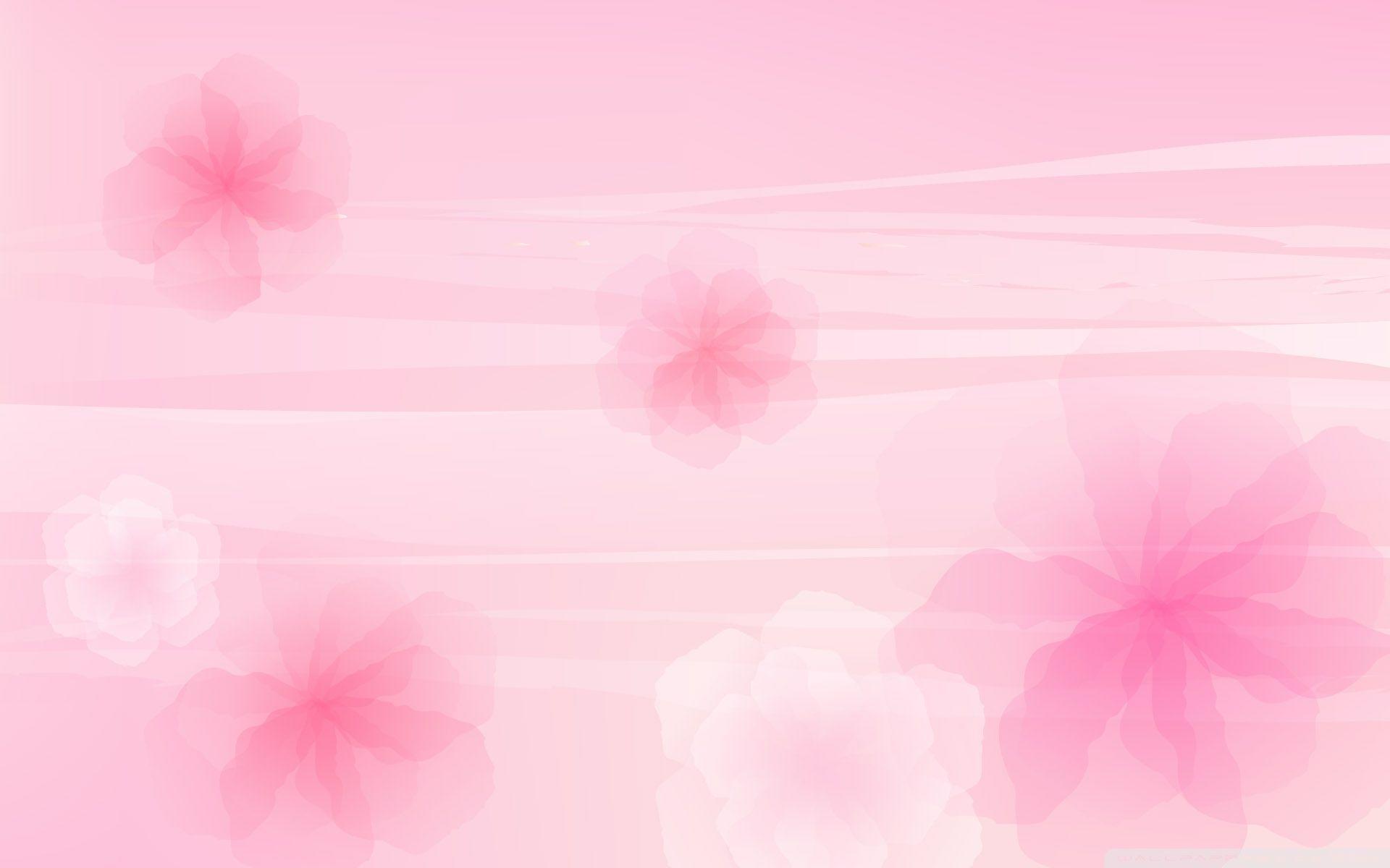 Detail Pink Background Wallpaper Nomer 42