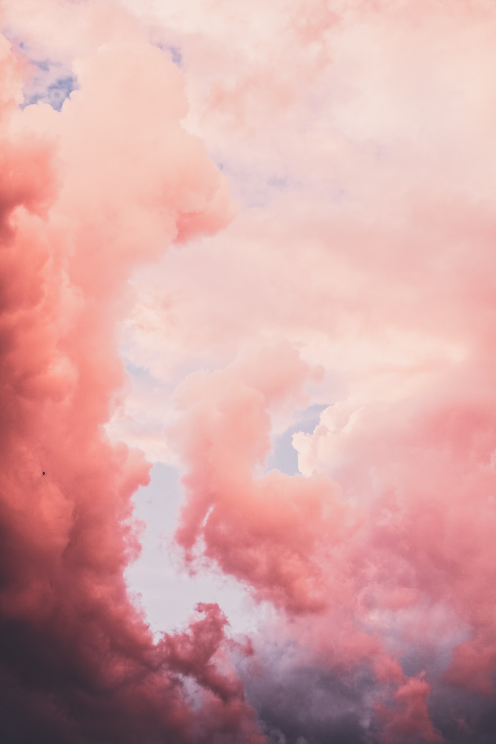 Detail Pink Cloud Background Nomer 4