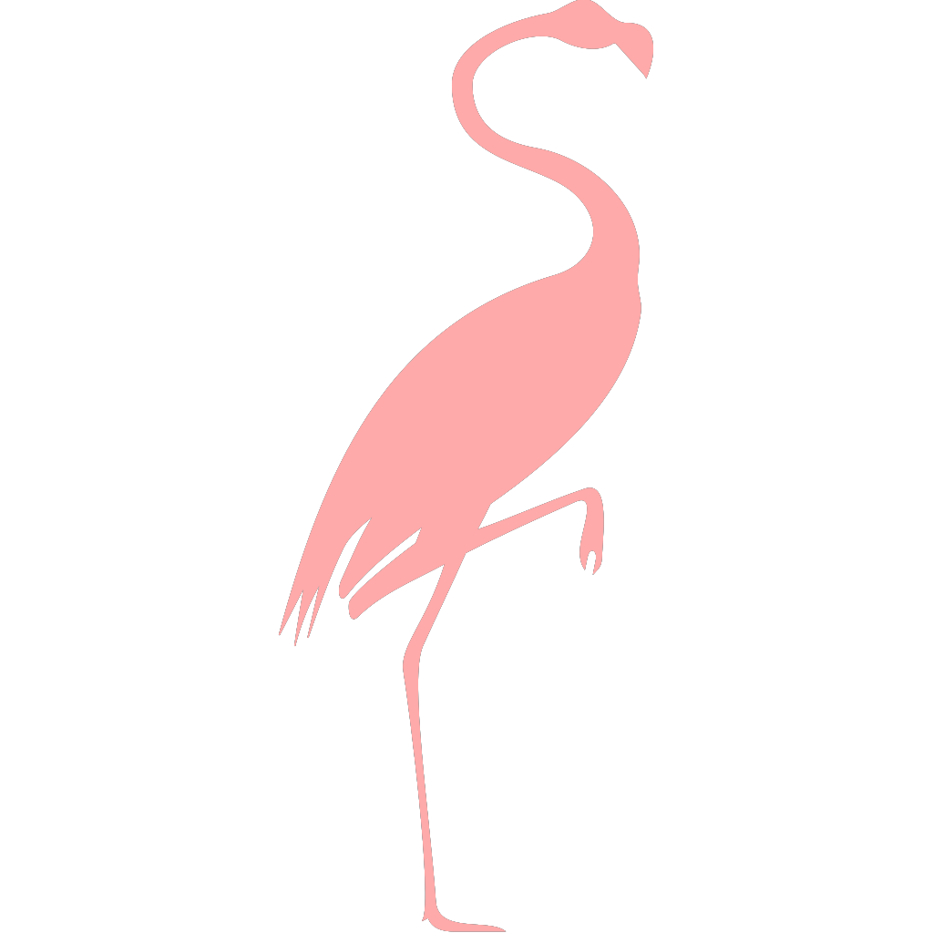 Detail Pink Flamingo Png Nomer 21