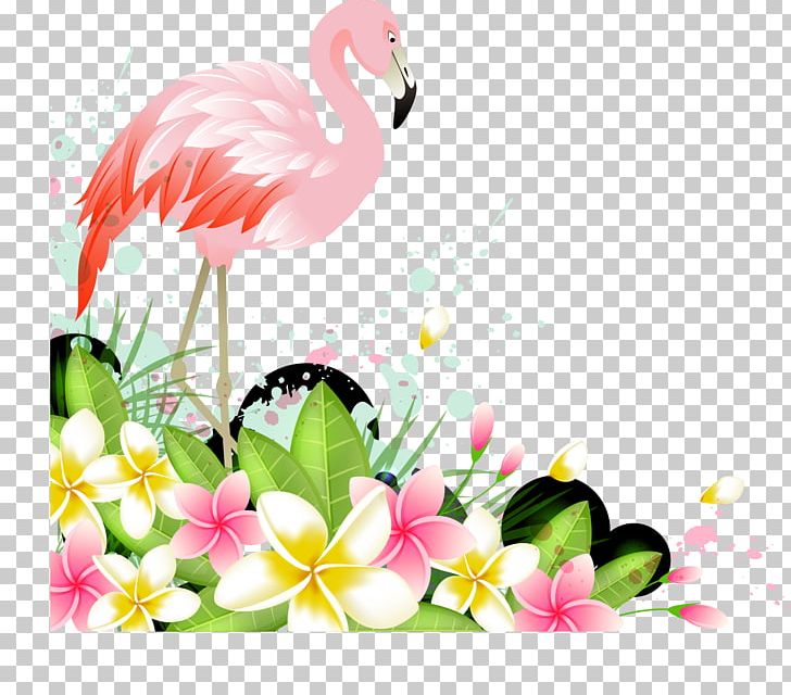 Detail Pink Flamingo Png Nomer 23