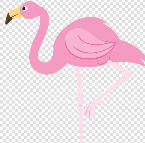 Detail Pink Flamingo Png Nomer 24