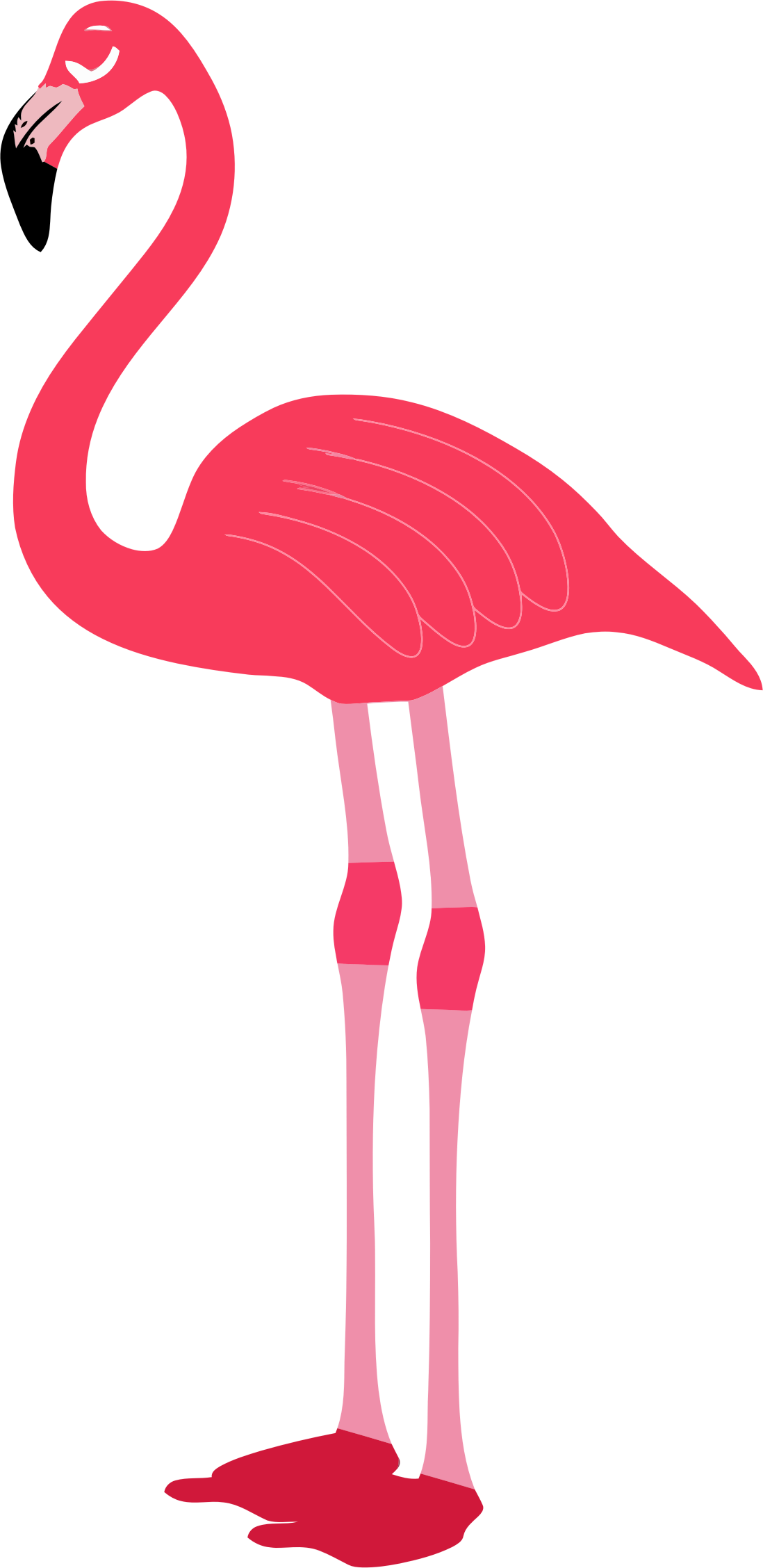 Detail Pink Flamingo Png Nomer 29