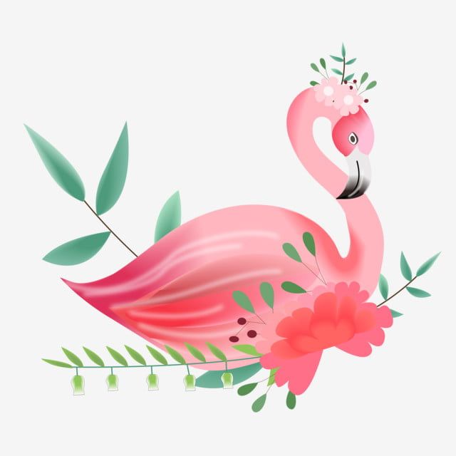 Detail Pink Flamingo Png Nomer 34