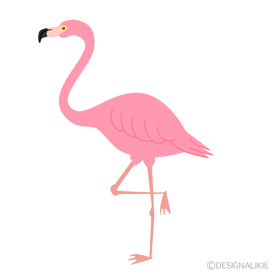 Detail Pink Flamingo Png Nomer 45