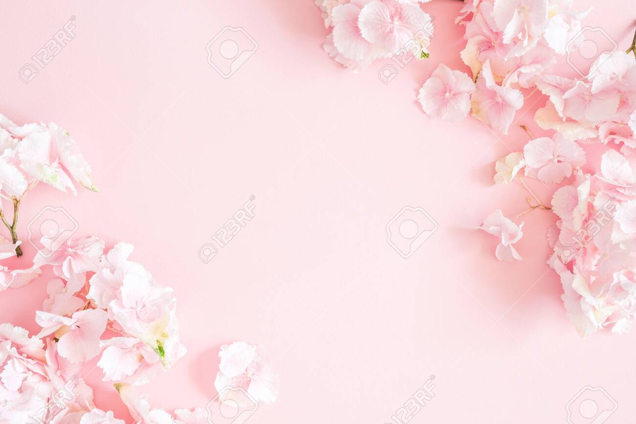 Detail Pink Flower Background Nomer 11