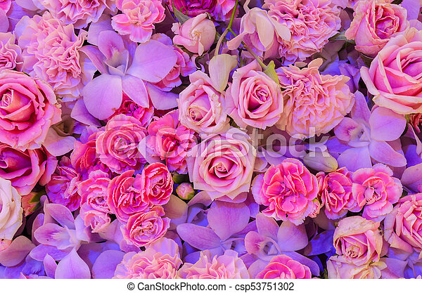 Detail Pink Flower Background Nomer 13