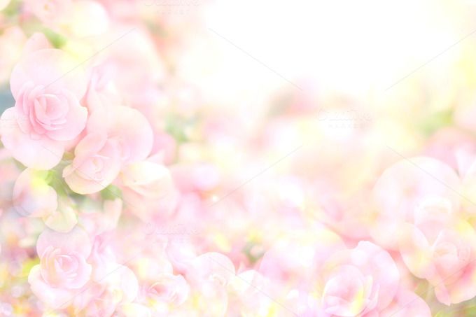 Detail Pink Flower Background Nomer 18