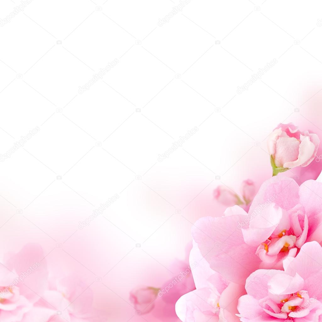 Detail Pink Flower Background Nomer 32