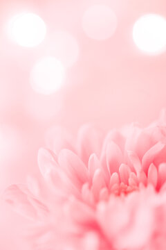 Detail Pink Flower Background Nomer 34