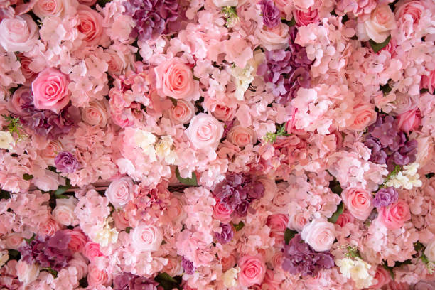 Detail Pink Flower Background Nomer 41