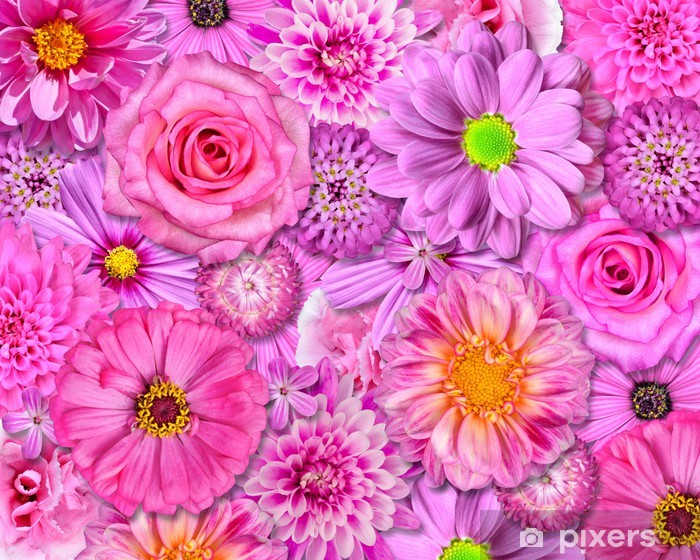 Detail Pink Flower Background Nomer 45