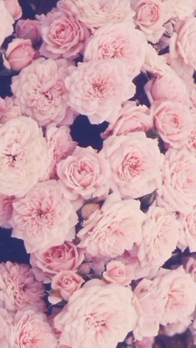 Detail Pink Flower Background Tumblr Nomer 15