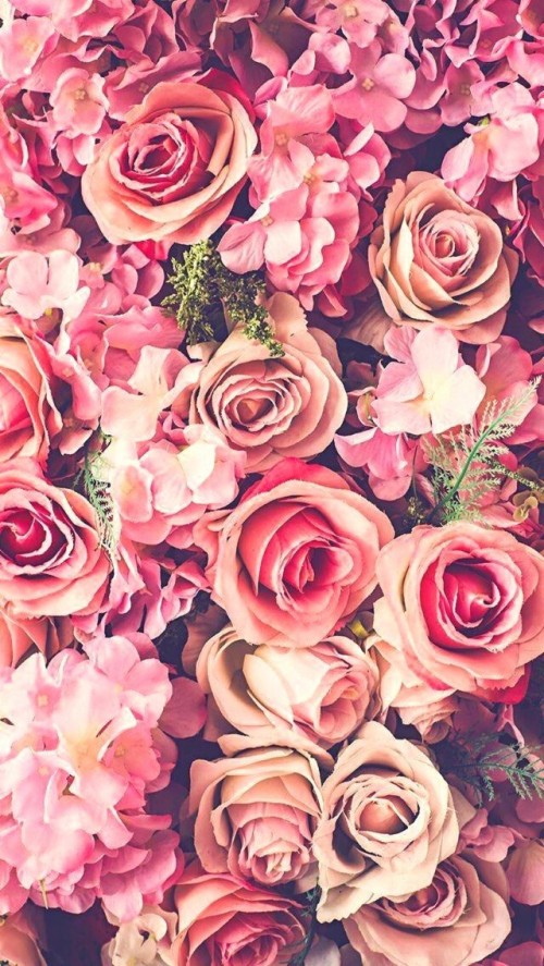 Detail Pink Flower Background Tumblr Nomer 16