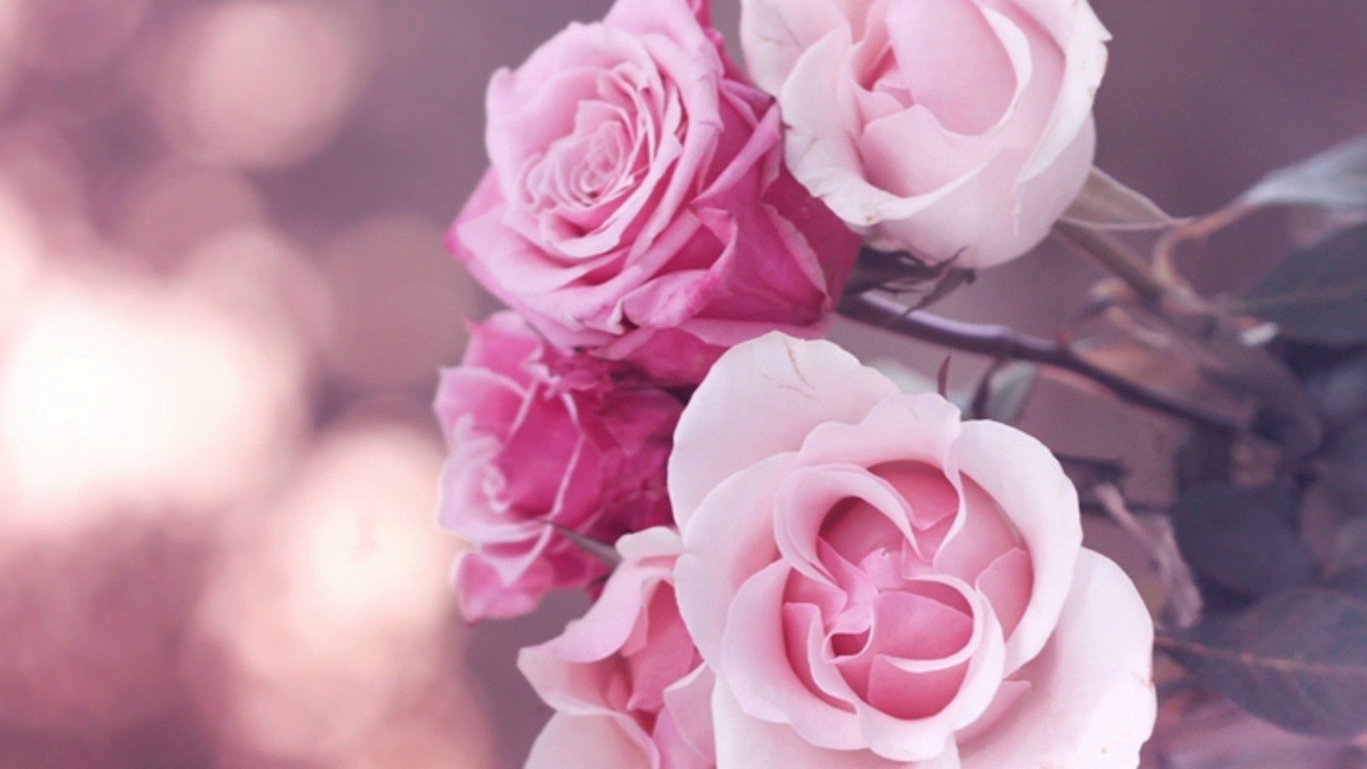 Detail Pink Flower Background Tumblr Nomer 3