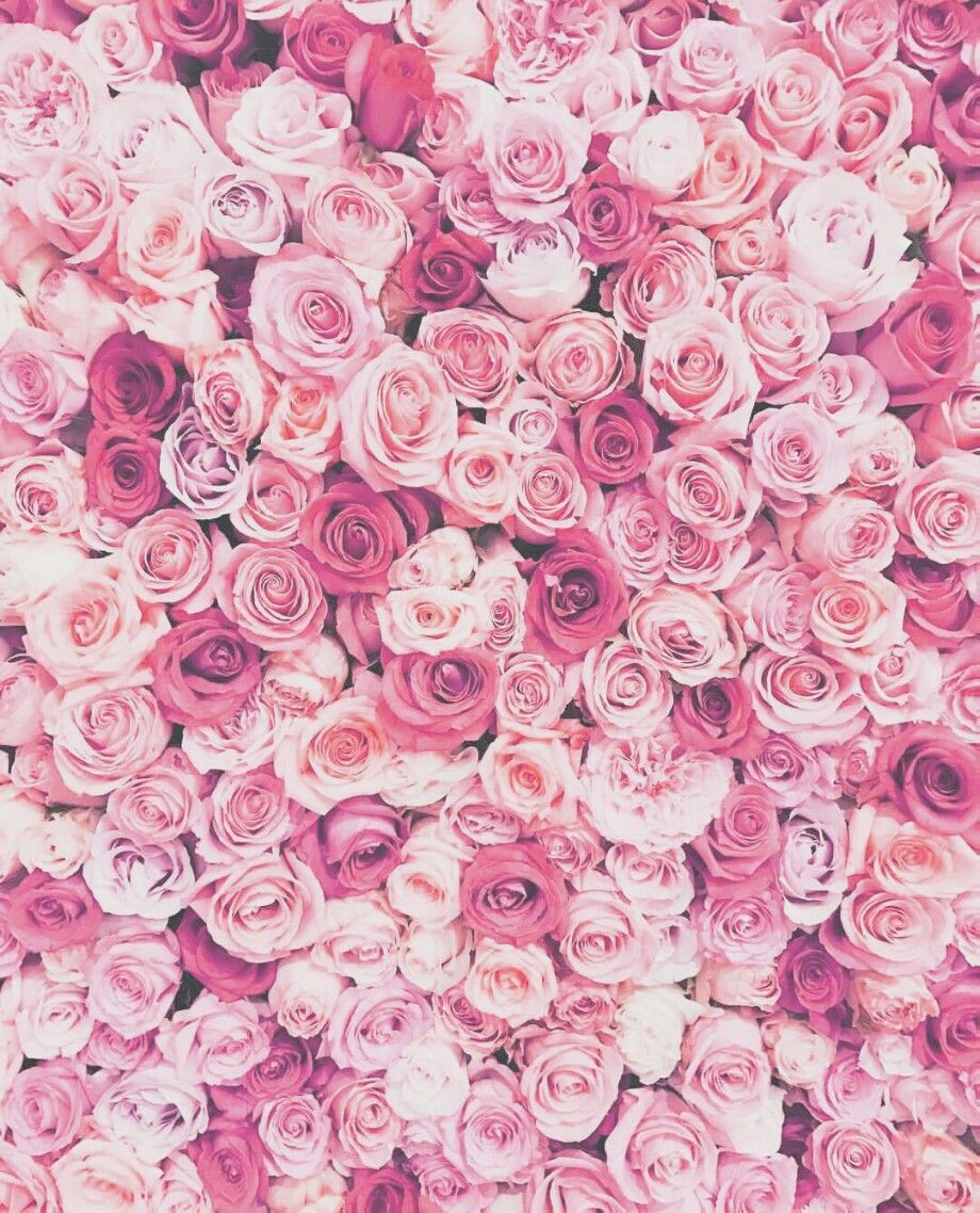 Detail Pink Flower Background Tumblr Nomer 20