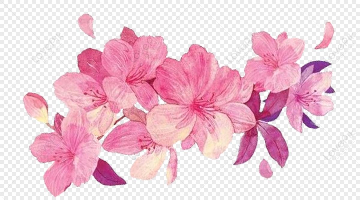 Detail Pink Flower Png Nomer 13