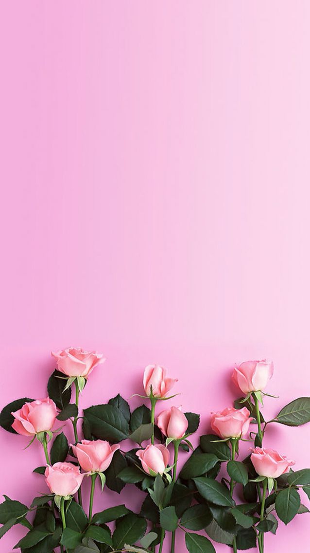 Download Pink Flower Wallpaper Nomer 22