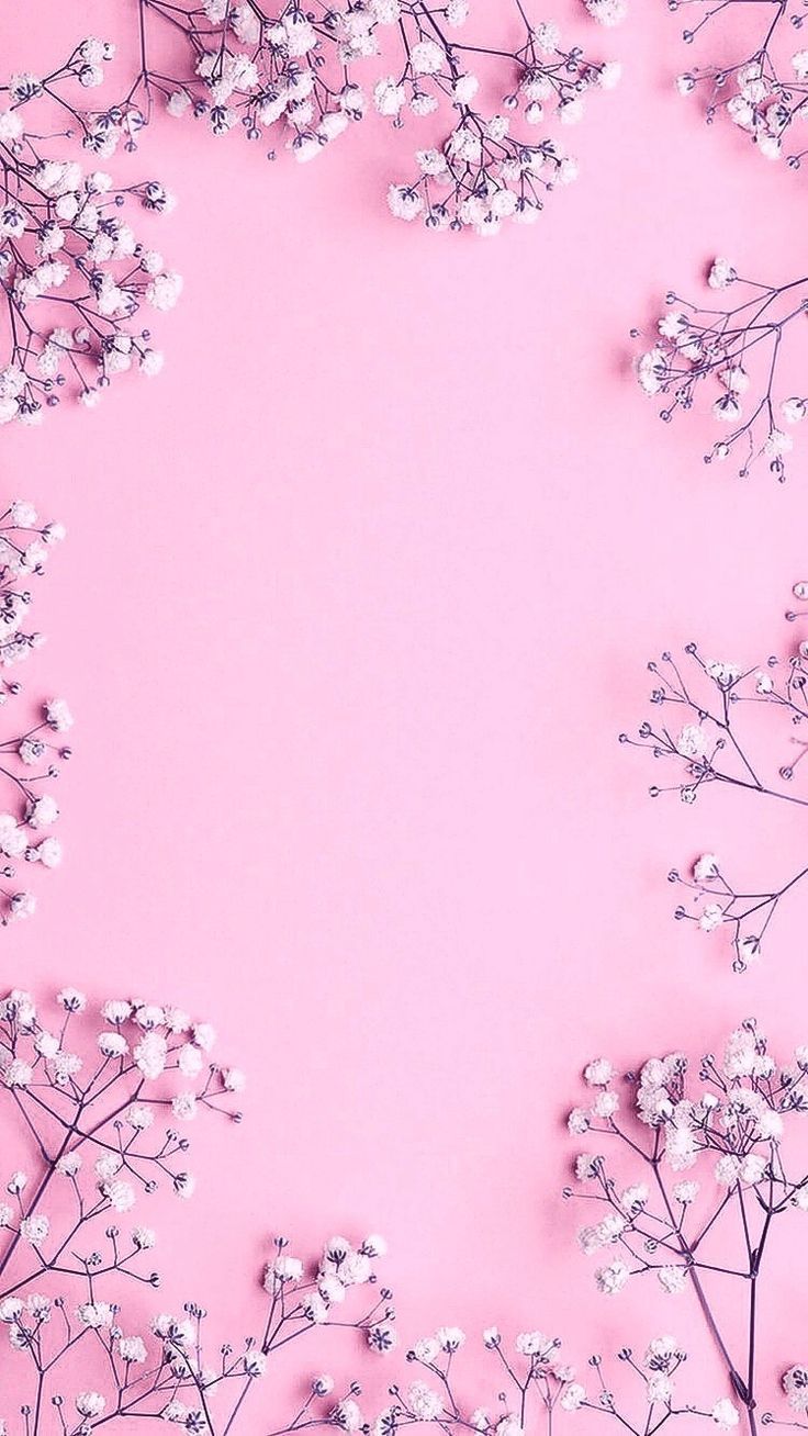 Detail Pink Flower Wallpaper Nomer 48