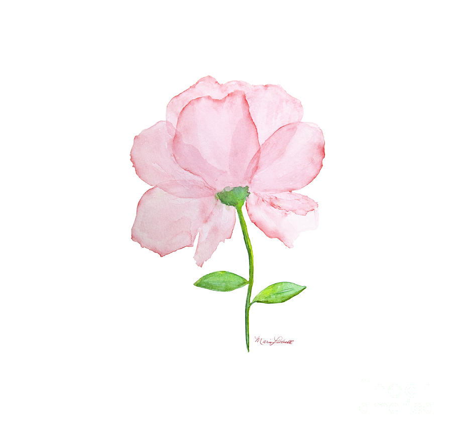 Detail Pink Flower Watercolor Nomer 2