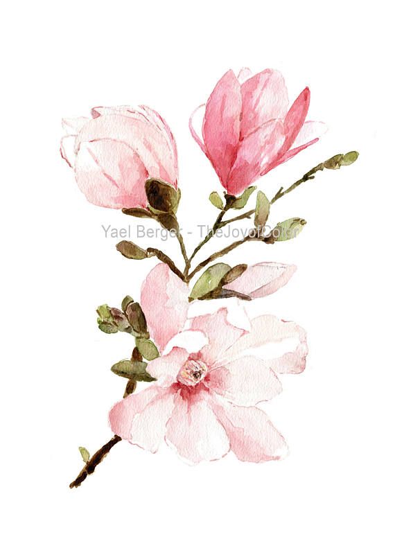 Detail Pink Flower Watercolor Nomer 20