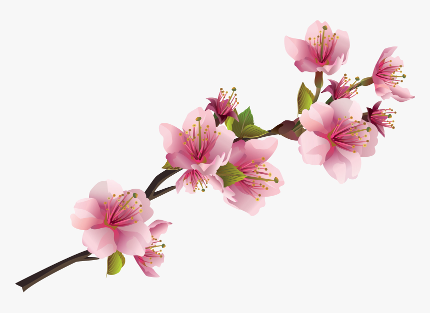 Pink Flowers Png - KibrisPDR