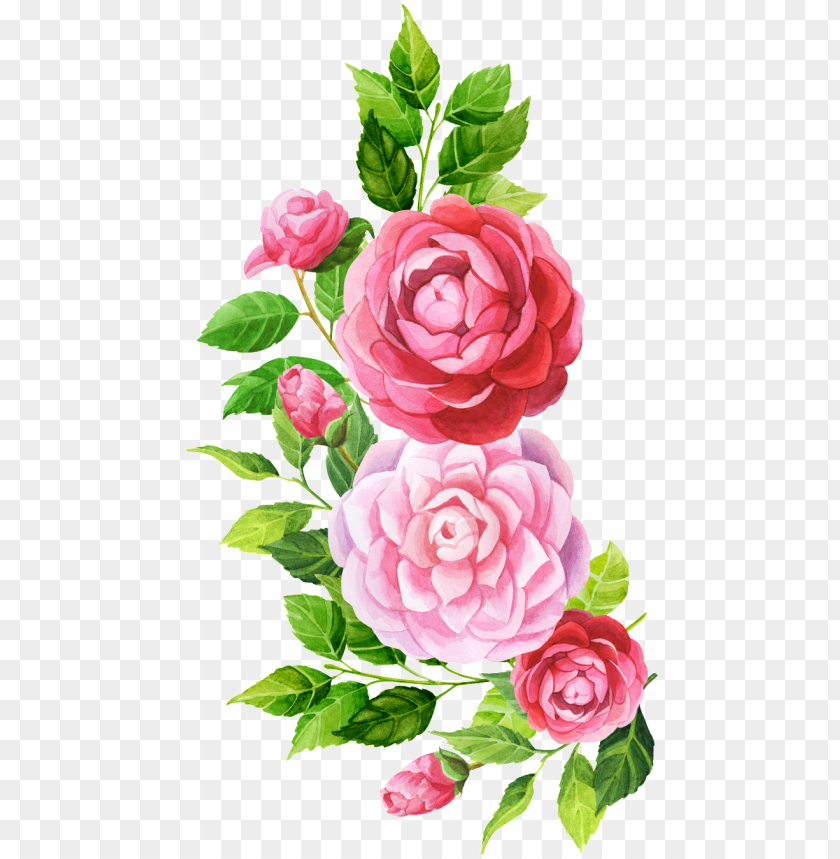 Detail Pink Flowers Png Nomer 30