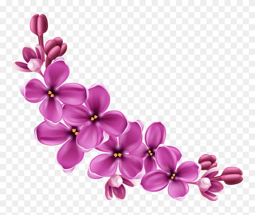 Detail Pink Flowers Png Nomer 33