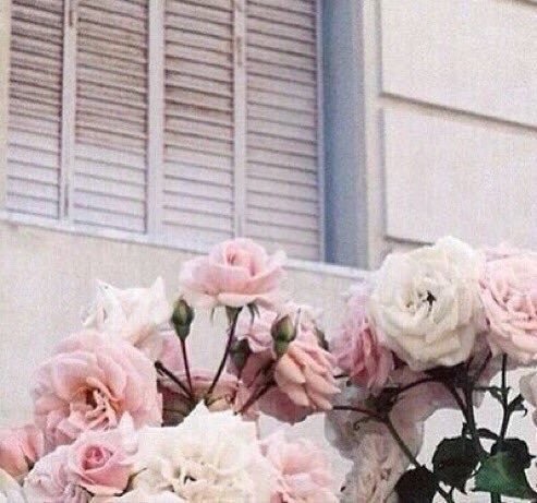 Detail Pink Flowers Tumblr Nomer 29