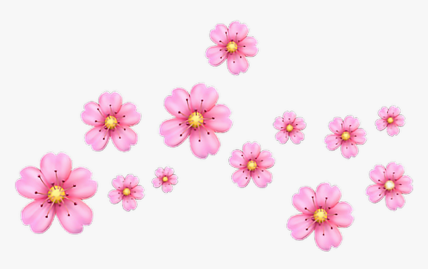 Detail Pink Flowers Tumblr Nomer 34