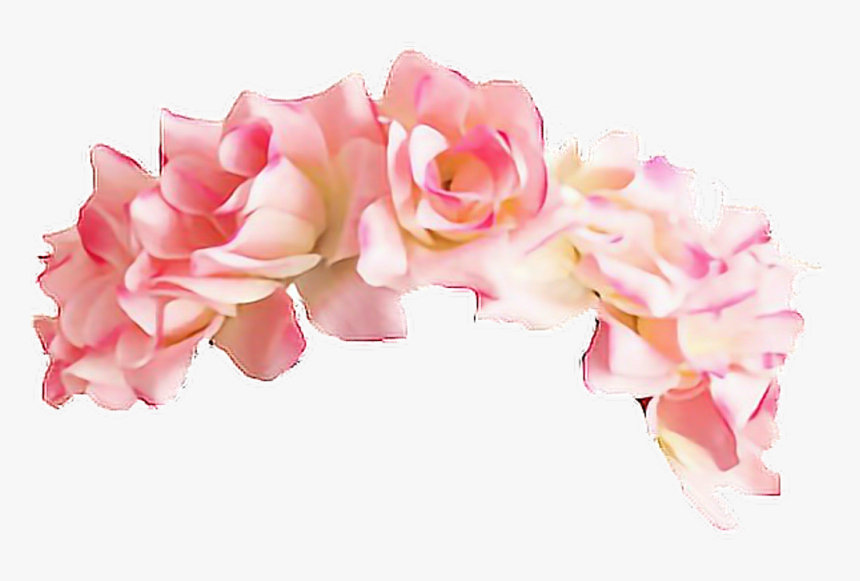 Detail Pink Flowers Tumblr Nomer 40