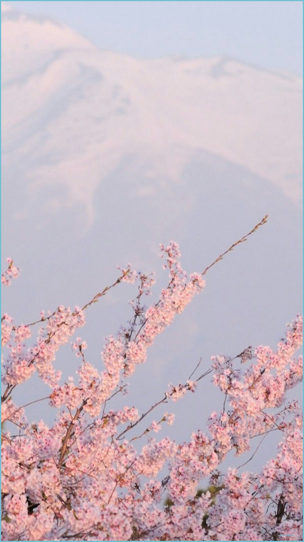 Detail Pink Pastel Floral Background Tumblr Nomer 29