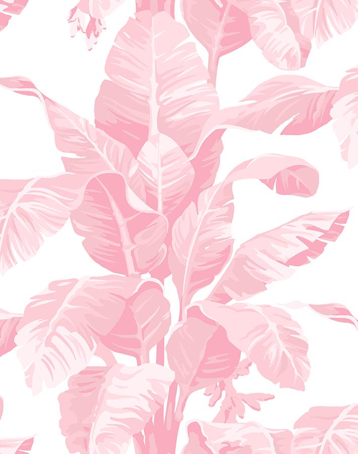 Detail Pink Pattern Wallpaper Nomer 30
