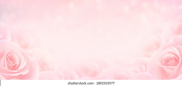 Detail Pink Rose Background Nomer 27