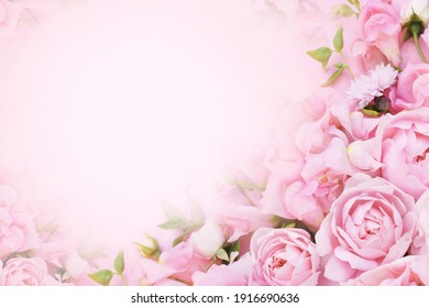 Detail Pink Rose Background Nomer 5