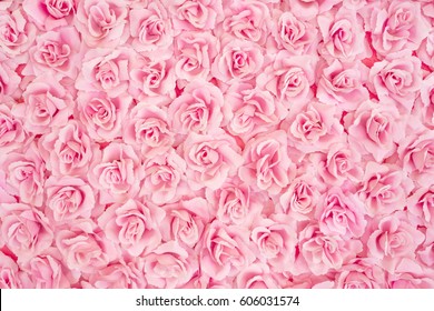 Detail Pink Rose Background Nomer 6
