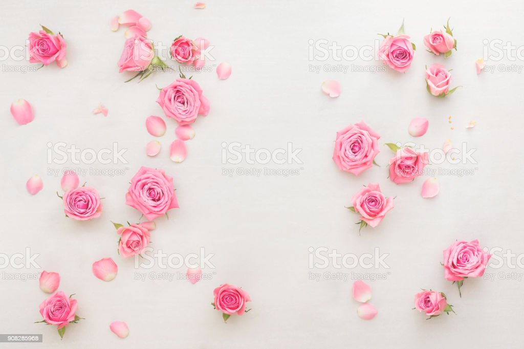 Detail Pink Rose Background Nomer 47