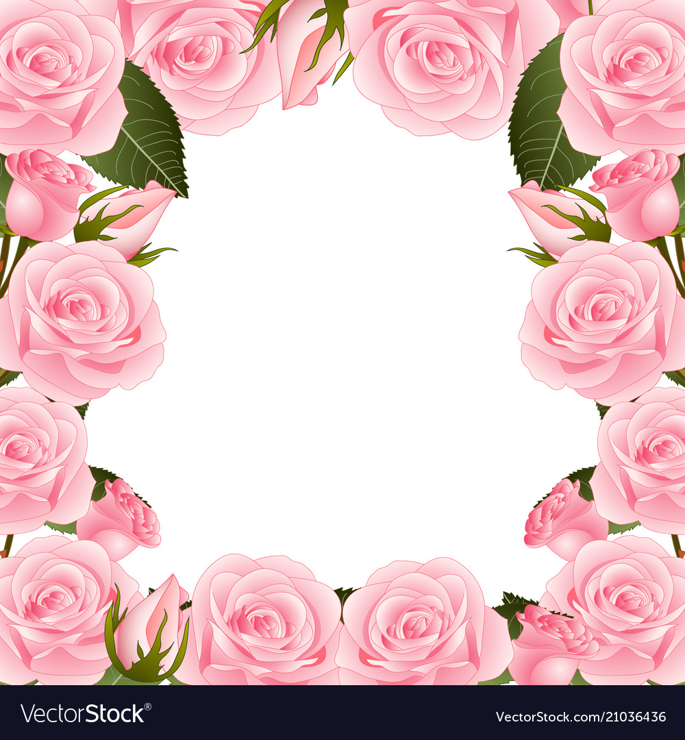 Detail Pink Rose Flower Images Nomer 28