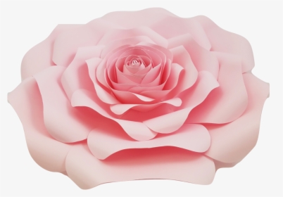 Detail Pink Rose Flower Png Nomer 23