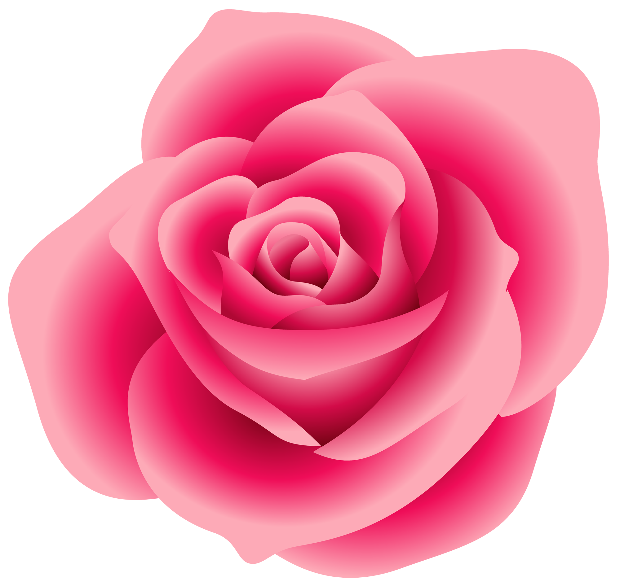 Detail Pink Rose Flower Png Nomer 27