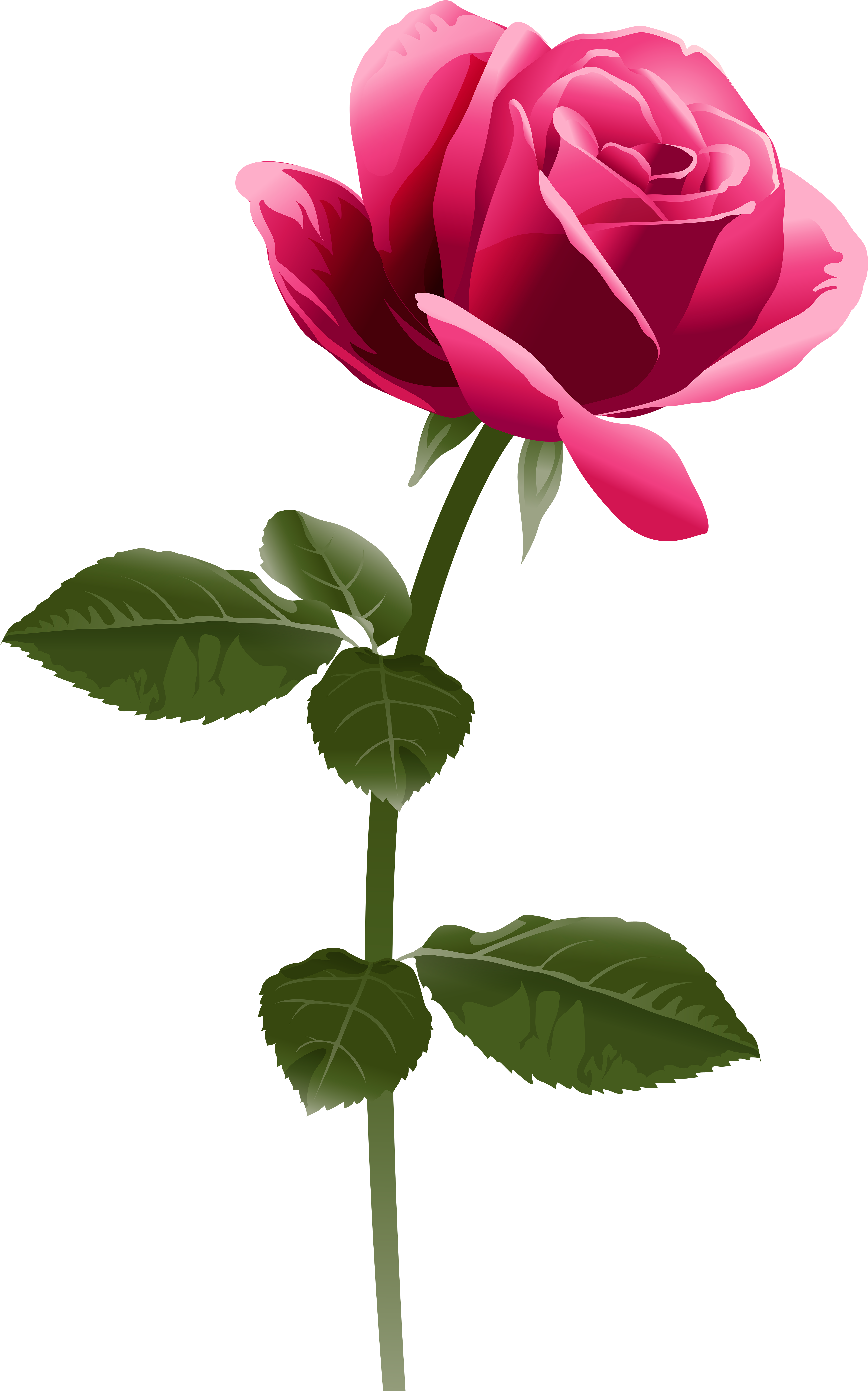 Download Pink Rose Flower Png Nomer 3