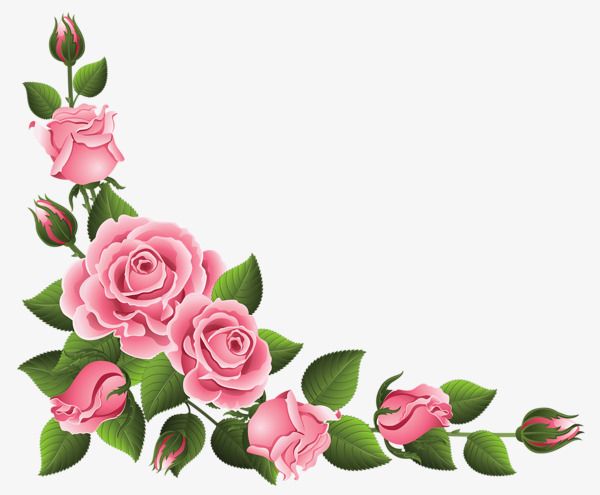 Download Pink Rose Flower Png Nomer 40