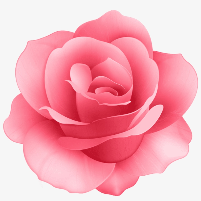 Detail Pink Rose Flower Png Nomer 6