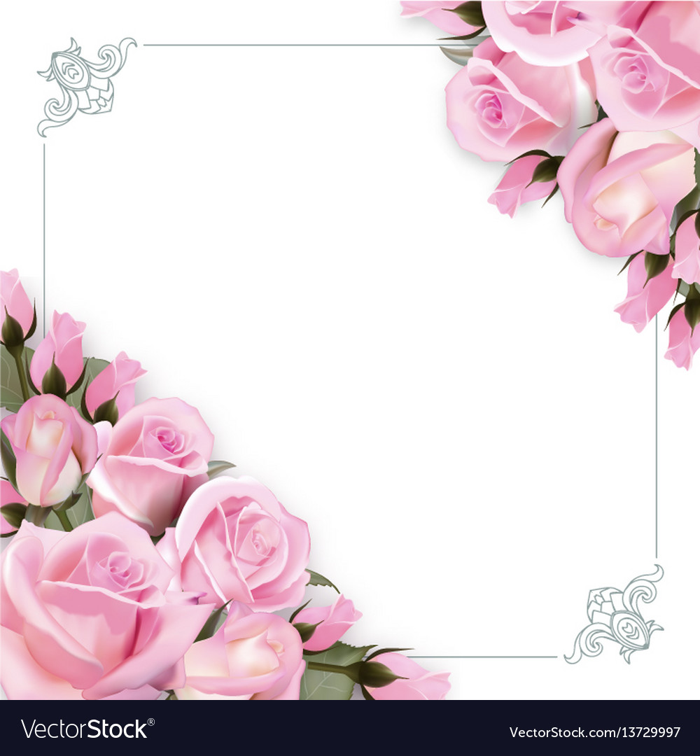 Detail Pink Rose Flowers Images Nomer 33