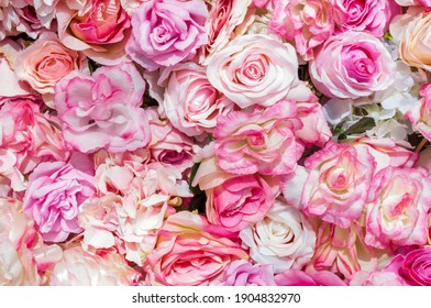 Detail Pink Rose Flowers Images Nomer 47