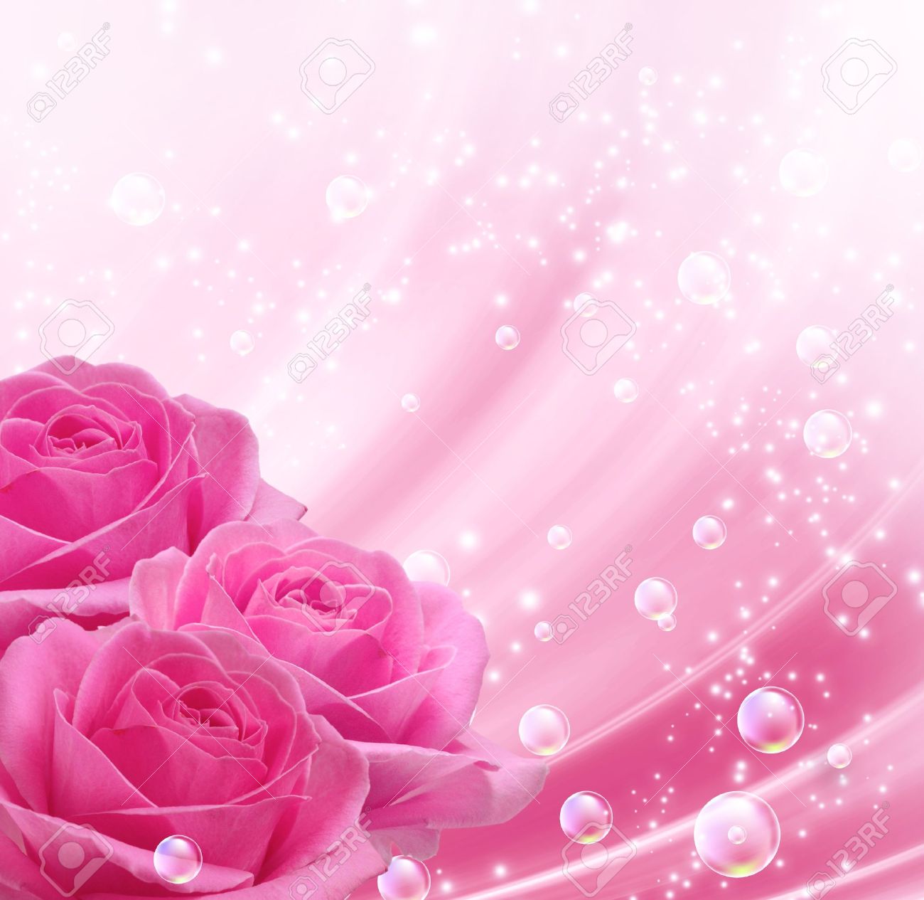 Detail Pink Roses Pics Nomer 18