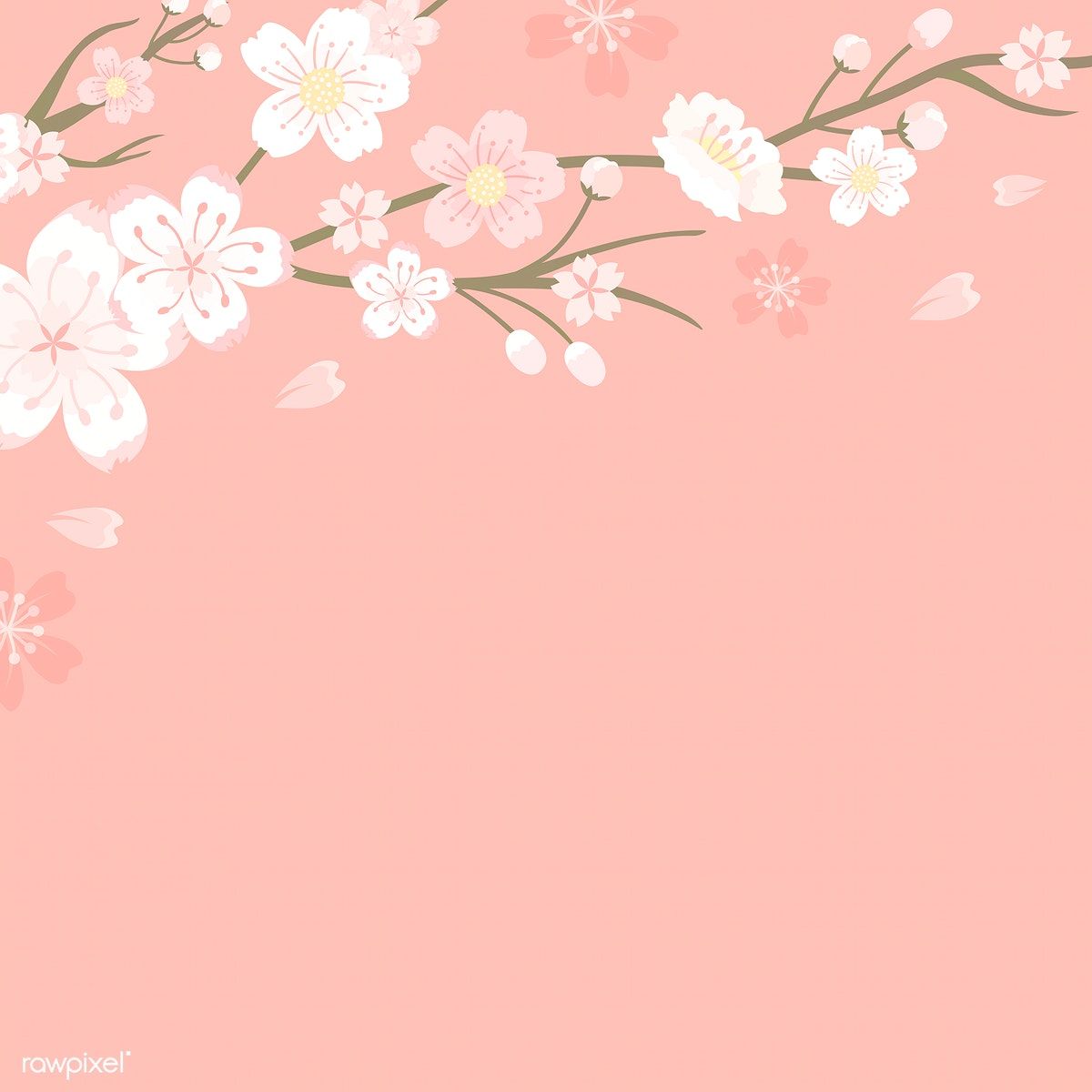 Detail Pink Sakura Wallpaper Nomer 5