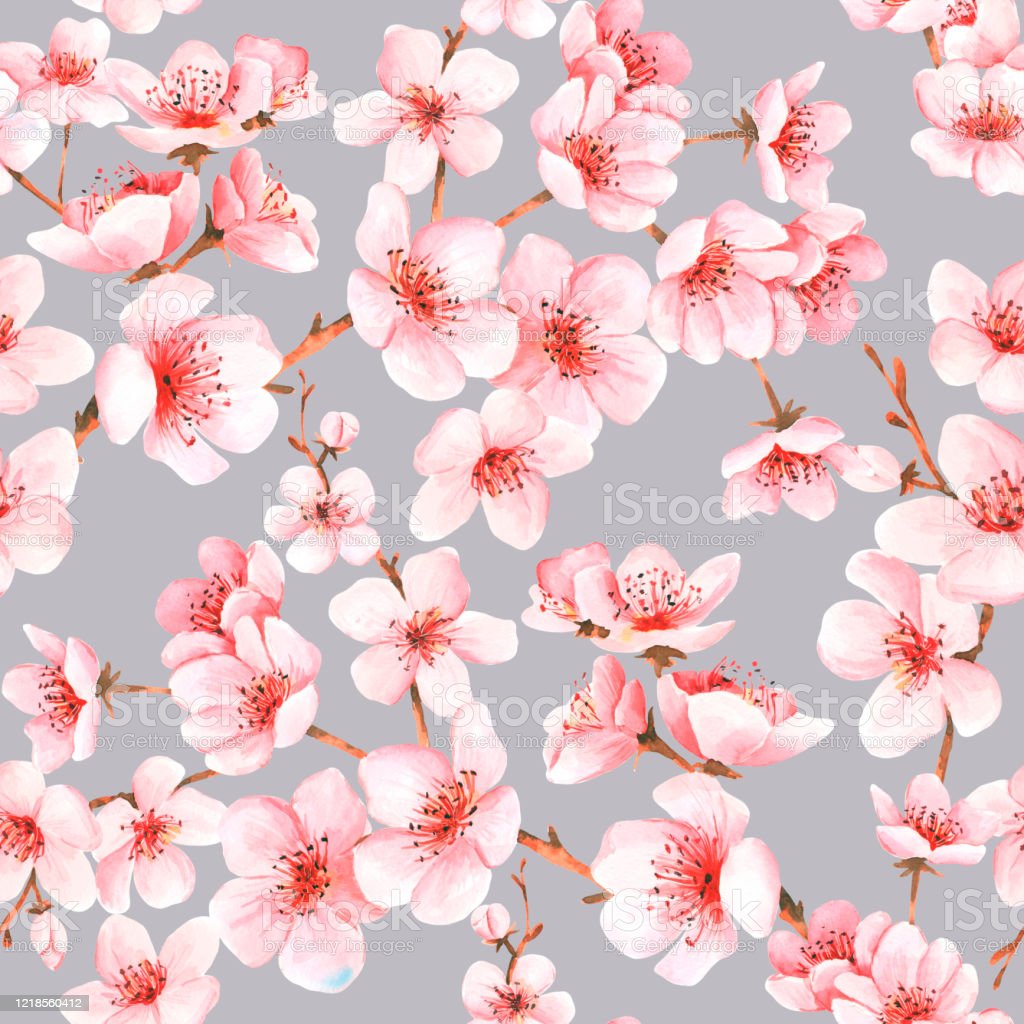 Detail Pink Sakura Wallpaper Nomer 39
