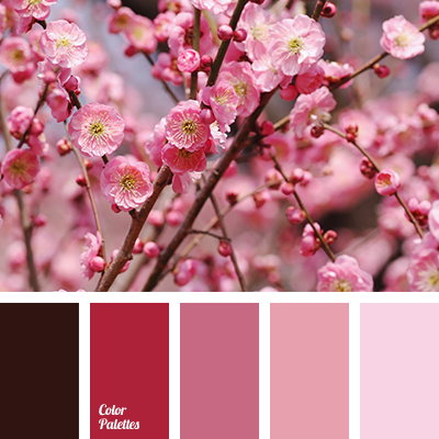Detail Pink Soft Color Nomer 21
