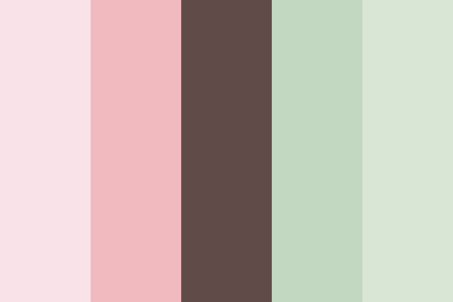 Detail Pink Soft Color Nomer 41