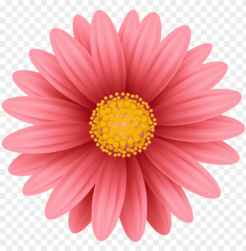 Detail Pink Sunflower Png Nomer 11